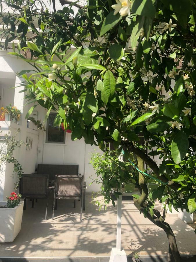Apartments Mia Patria Улцинь Екстер'єр фото
